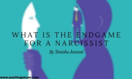 what is the endgame for a narcissist ?