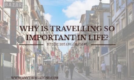 Why is travelling so important in life?