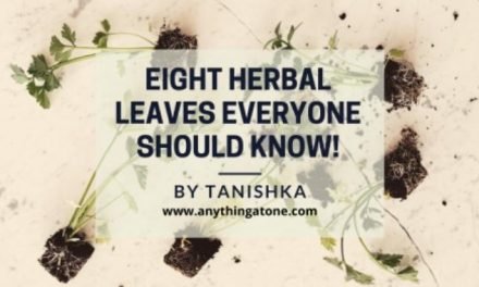 EIGHT HERBAL LEAVES EVERYONE SHOULD KNOW!