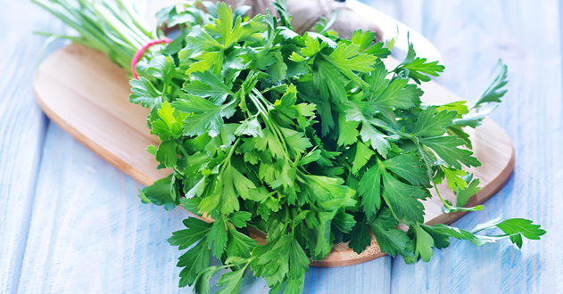 EIGHT HERBAL LEAVES EVERYONE SHOULD KNOW!
