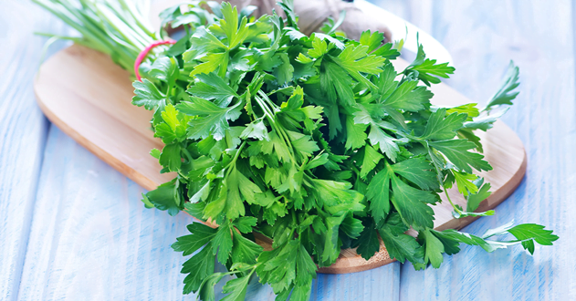 EIGHT HERBAL LEAVES EVERYONE SHOULD KNOW!