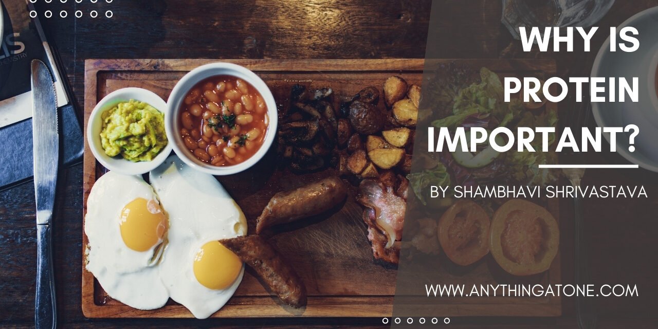 WHY IS PROTEIN IMPORTANT?