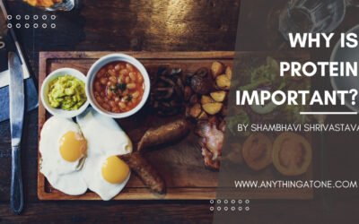 WHY IS PROTEIN IMPORTANT?