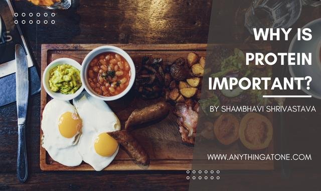 WHY IS PROTEIN IMPORTANT?